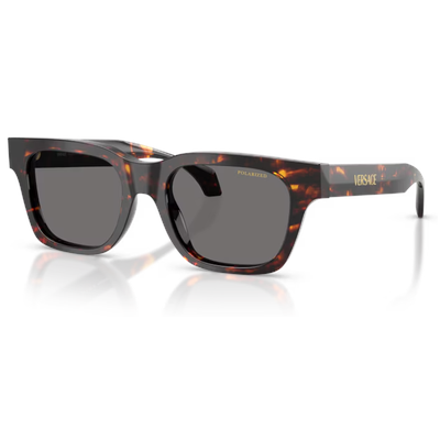Versace VE4486 Sunglasses