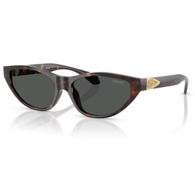Versace VE4491U Sunglasses