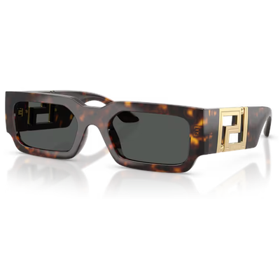 Versace VE4506U Sunglasses