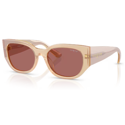 Vogue VO5641SU Sunglasses